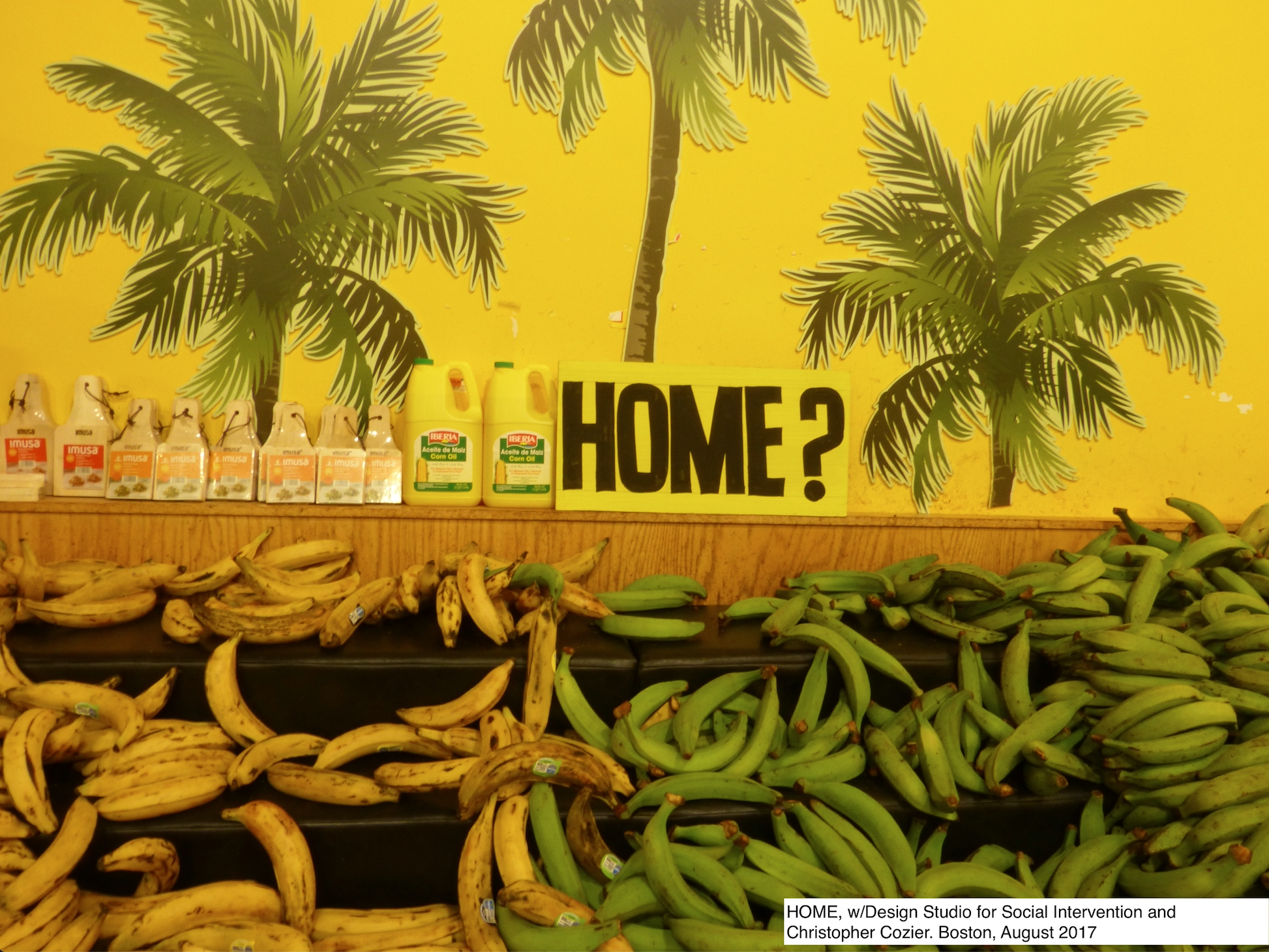 A rack of bananas, half yellow and half green, with a sign above them that reads 'HOME?' for Intelligent Mischief