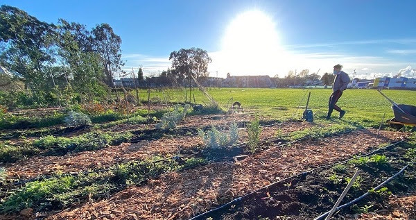 A small farm with the afternoon sun shining in the blue sky. The silhouette of a person tending to the garden can be seen.