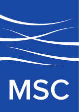 Movement Strategy Center
