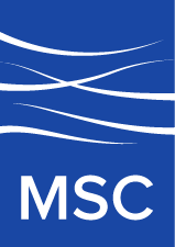 Movement Strategy Center