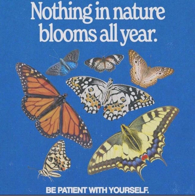 A gentle reminder, as we embark on a long weekend, captured beautifully by @jzcreativespace.jpg ALMOST nothing in nature blooms all year 🦋. ⁣
⁣
"Be patient with yourself."⁣
⁣
Take this time to rest, reflect, and remember that growth requires patience. Embrace your natural rhythm, just as nature does.⁣
⁣
IMAGE DESCRIPTION: a digital art piece with a plain blue background featuring an assortment of colorful butterflies. Above them in bold white text reads "nothing in nature blooms all year," below them reads "be patient with yourself."