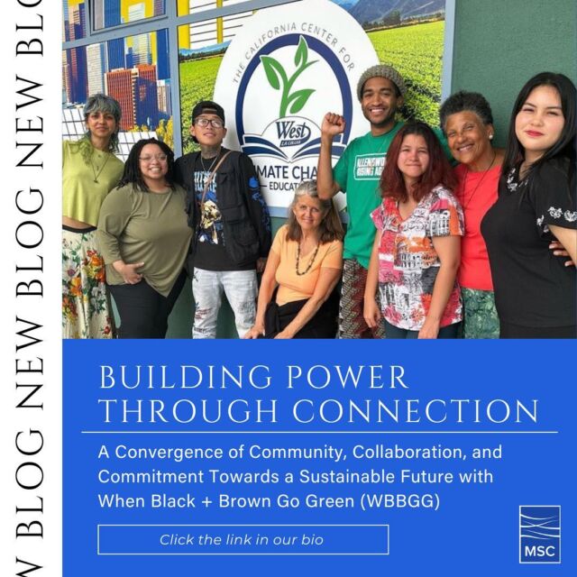 🔦 Partner Spotlight 🔦 @org.wbbgg is brilliantly blending community, collaboration, and commitment to forge a sustainable future. 🌿✨ When Black + Brown Go Green stands as an intergenerational beacon for climate action and regenerative living. Championing the charge of Black and brown youths and utilizing tree planting as a transformative tool, they're carving out brighter futures for students of color. 🌳🌎⁣
⁣
During their inaugural strategic retreat in sunny LA, the WBBGG team — fueled by the legacy of their late founder, #FeLove — strategized on environmental justice, health, education, and future growth, with a central focus on holistic wellbeing. 🌞 Yet, the pressing challenge they face is securing the vital funding needed for their continued growth and impact. 💰🔄⁣
⁣
Dive into our latest blog, "Building Power Through Connection," to unravel the story of @org.wbbgg, discovering how they're crafting a sustainable future through unity and action. Together, we rise. ✊🏾💚 #LinkInBio #SustainableFuture #GreenJobs
