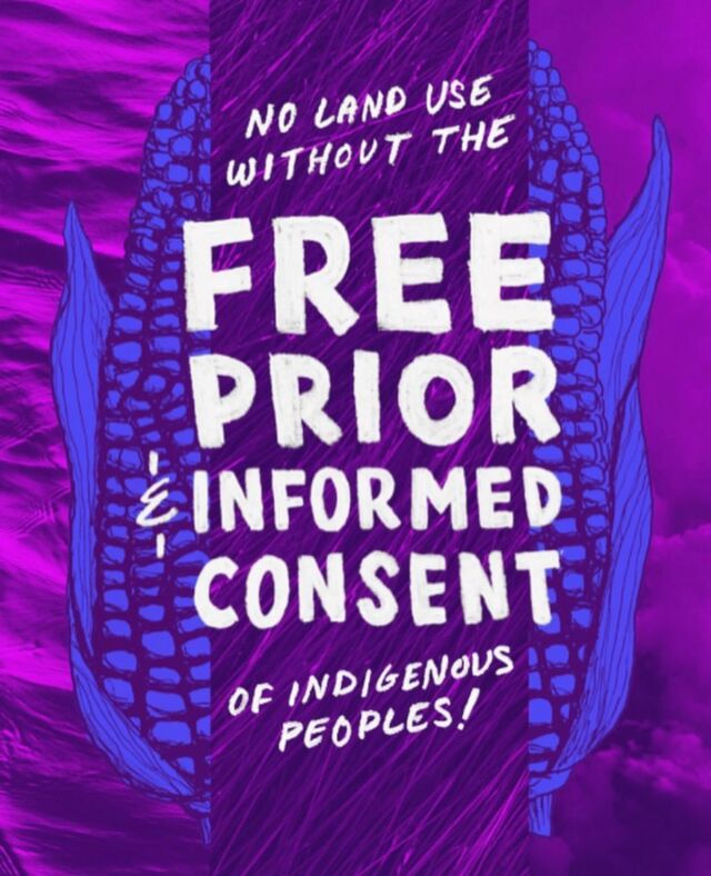 🍁 As we prepare to give thanks, let's deepen our commitment to understanding and respecting the land and its original stewards. Beyond land acknowledgments, let's practice the principle of free, prior, and informed consent, upholding the sovereignty of Indigenous peoples to say yes or no.⁣
⁣
Hearing, accepting, and processing their decisions is key to genuine respect and gratitude. This Thanksgiving, let's reflect on our role in supporting and honoring Indigenous communities' autonomy and choices. 🌿⁣
⁣
🎨 by @ri.iver for @GND_network