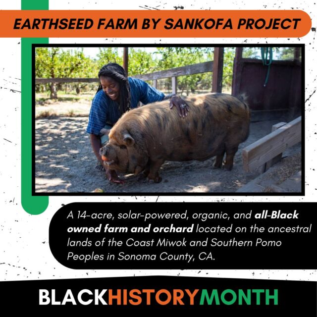 EARTHseed Farm by Sankofa Project is Black history being made today! This all-Black owned farm and orchard aims to heal generations of historical harm through educational programs that prioritize people of African descent and other communities of color.

Learn more about EARTHseed Farm on the MSC website: https://movementstrategy.org/earthseed-farm/

Join us this month as we celebrate #BlackHistoryMonth. We’re highlighting Black achievements of yesterday, today, and tomorrow all throughout the MSC ecosystem.