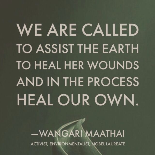 🌟🌿 Are you following @thriveeastbay yet? If not, here’s why you should start! Dive into these inspiring quotes shared by our partners:
⠀
🌍 "We are called to assist the earth to heal her wounds and in the process heal our own." – Wangari Maathai
⠀
💤 "You were not just born to center your entire existence on work and labor. You were born to heal, to grow, to be of service to yourself and community, to practice, to experiment, to create, to have space, to dream, and to connect." – Tricia Hersey, Rest is Resistance
⠀
🎵 Once you've followed, join @thriveeastbay and the Oakland Center for Spiritual Living on May 5 at 4pm PST / 7pm EST for an uplifting event, "Hold Everyone Up! The Power of Song, Healing & Community." This special gathering in Oakland and online features Grammy-nominated singer, composer, and vocal activist Melanie DeMore, alongside the heart opening voices of the Wildchoir.
⠀
🔗 LINK in bio to learn more & RSVP!
⠀
@butchyg3 @wildchoirmusic @oaklandcsl

#holdeveryoneup #earthmonth  #healtheearth #healourown