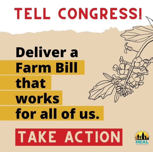 Our partners, @healfoodalliance are mobilizing communities to urge Congress to deliver a Farm Bill that ensures thriving futures for us all!

Right now, Congress is negotiating policies and funding for the Farm Bill, which impacts everything in our food systems. From protections for the workers who grow and package our food, to climate change solutions, and vital funding for SNAP — this is a critical moment!

Tell Congress TODAY that we need a Farm Bill that includes:
⭐ Protections for food and farm workers
⭐ Funding for effective climate programs
⭐ Investment in BIPOC producers
⭐ Incorporation of traditional ecological knowledge in conservation
⭐ Expansion of urban agriculture and local food programs
⭐ Increased access and eligibility for SNAP and other nutrition programs

Let’s make sure our farmers, workers, and communities can thrive. Take action now before it’s too late: bit.ly/FarmBill4UsAll

#FarmBillForThrivingFutures #Repost